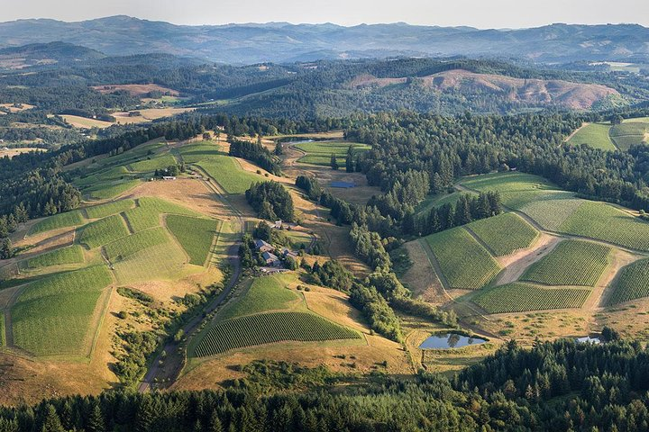 Oregon Wine Country